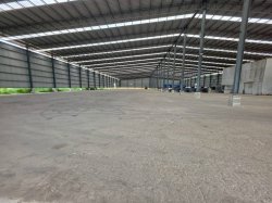 Free Zone ให้เช่าโรงงาน นิคมพัฒนา 5,500ตร.ม