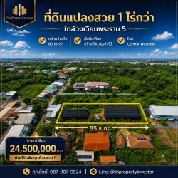 ยินดีรับฟังทุกข้อเสนอ !! ขายที่ดินเปล่า 1 ไร่ 2 งาน 86.7 ตรว.(686.7 ตรว)  ในซอย บางขนุน5 นนทบุรี ใกล้ถนนราชพฤกษ์ และ วงเวียนพระราม5  เหมาะปลูกสร้างทำธุรกิจหรืออยู่อาศัยก็ได้ ผังเมืองสีเหลือง เข้าออกเมืองสะดวกมาก  ราคาพิเศษ!