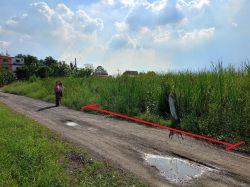 ขาย ที่ดิน 100 ตร.วา ซอยวัดแป้นทอง (หทัยราษฎร์39)ราคาถูกที่สุดในย่านนี้! หน้ากว้าง 14.5 เมตร, ลึก 27.5 เมตร