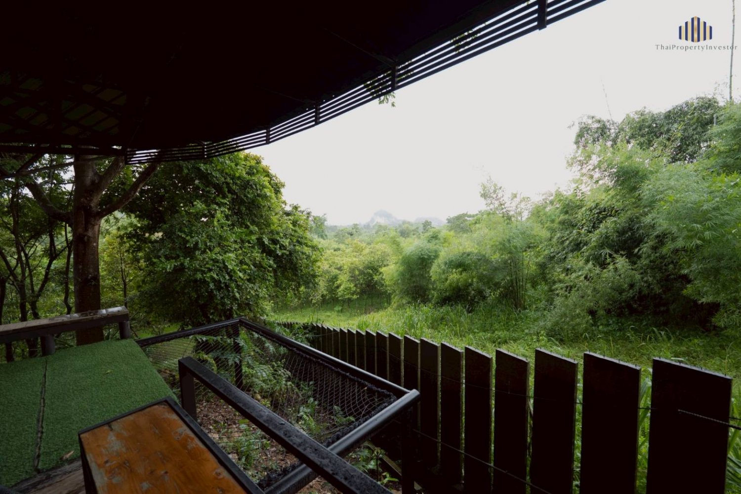 ขายบ้านสวน 3 ไร่ พื้นที่ติดเขา ชะอม เเก่งคอย สระบุรี ภาพประกอบที่ 11