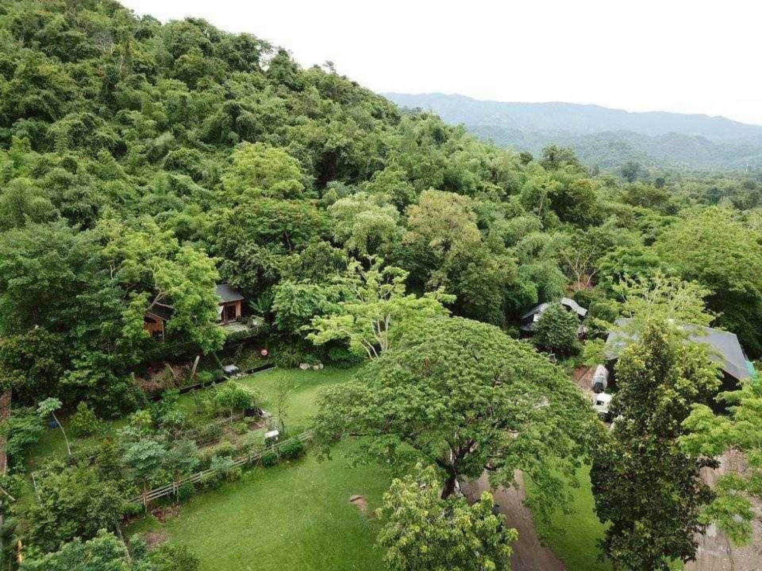 ขายบ้านสวน 3 ไร่ พื้นที่ติดเขา ชะอม เเก่งคอย สระบุรี ภาพประกอบที่ 12