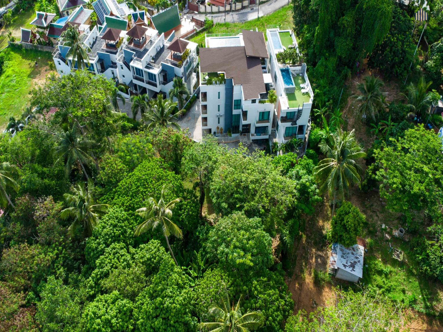 Luxury Rare Sea View หาดกะตะ!! ขายที่ดิน 230.8 ตร.วา ภาพประกอบที่ 4