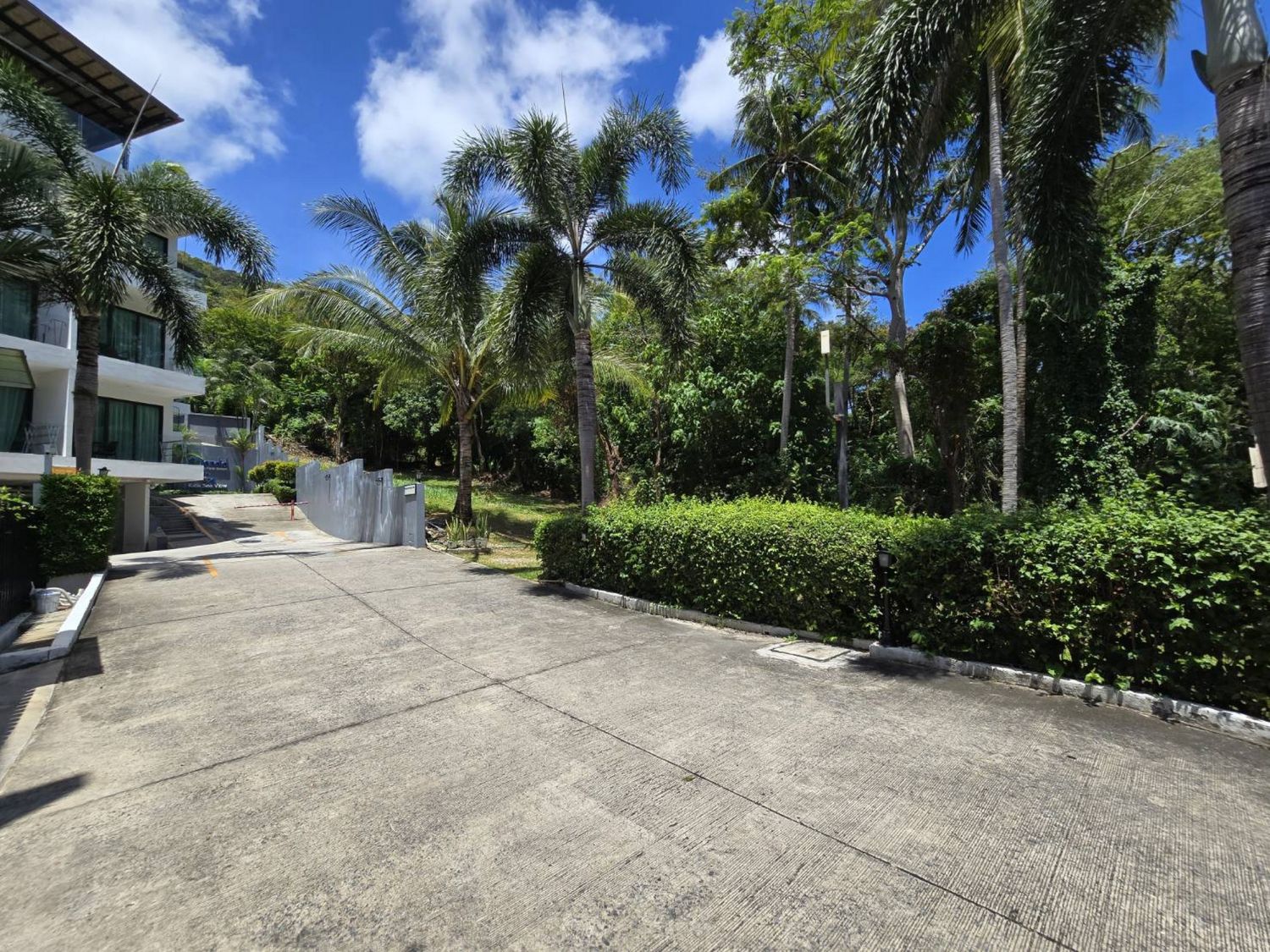 Luxury Rare Sea View หาดกะตะ!! ขายที่ดิน 230.8 ตร.วา ภาพประกอบที่ 8