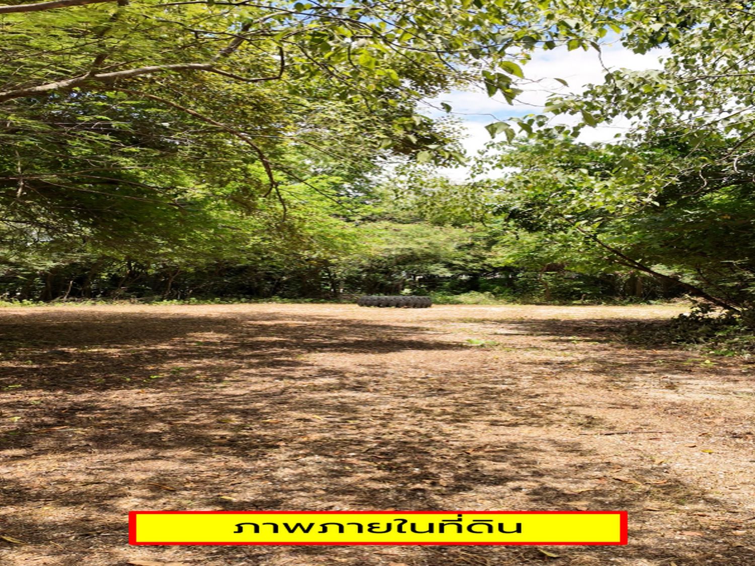 ขายที่ดินถมแล้วเสมอถนน 9 ไร่ติดภูเขา ใกล้แม่น้ำ ภาพประกอบที่ 17