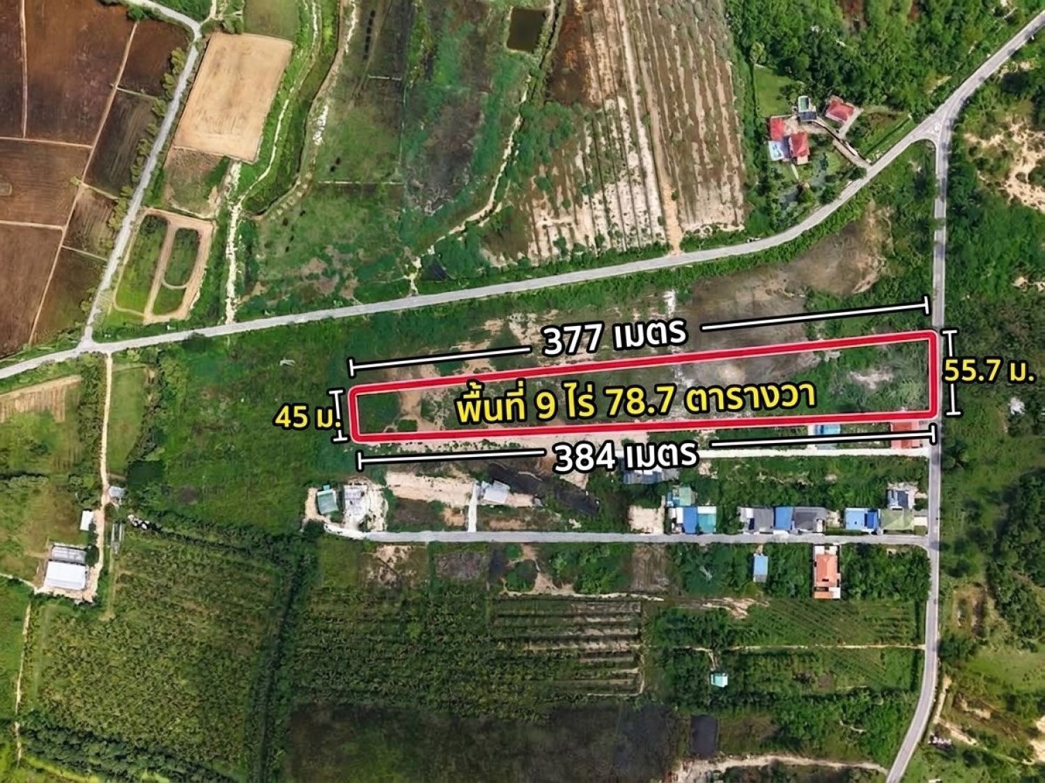 ยกแปลง 9 ไร่ ชะอำ ใกล้เขานางพันธุรัต ผังสีชมพูหายาก ภาพประกอบที่ 5