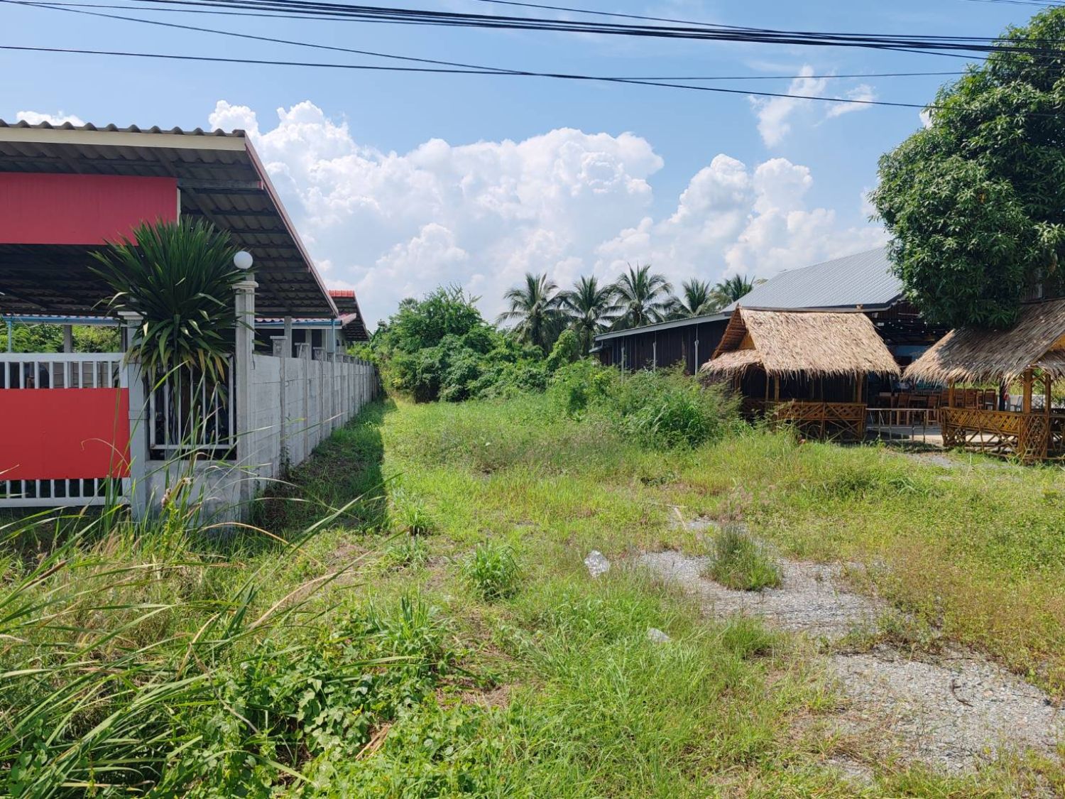 ขายที่ดินเปล่าติดถนนอู่ทองท่าน้ำอ้อย 90 ตร.วา หน้ากว้าง 10 เมตร ภาพประกอบที่ 5