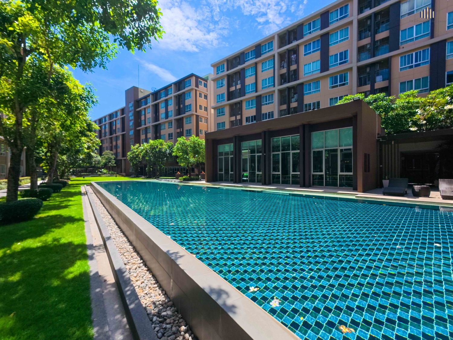 ขายด่วน! ดีคอนโด แคมปัส รีสอร์ท รังสิต (dcondo campus resort) ชั้น 6 ภาพประกอบที่ 14